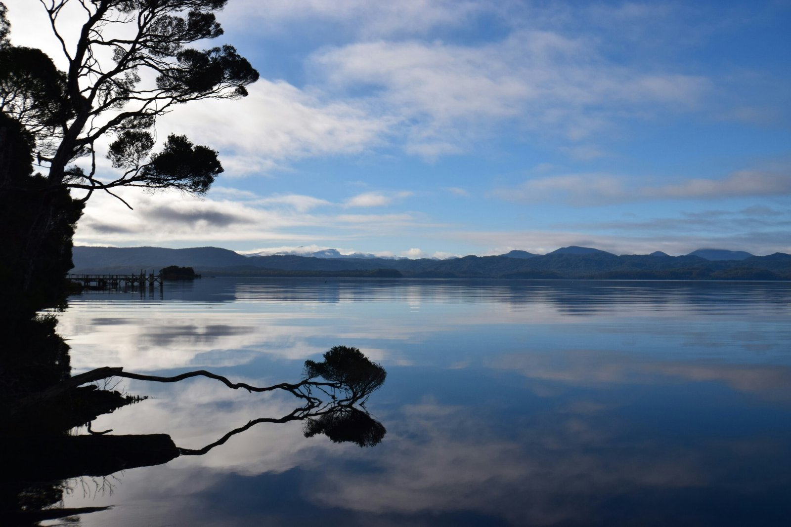 a lake with a tree in the foreground and mountains in the background